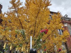 -荣兴酒家(徐家汇店)