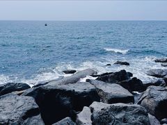 -硇洲岛旅游区