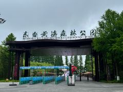 -黄海国家森林公园