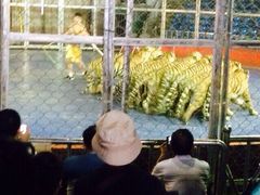 秦岭野生动物园-西安秦岭野生动物园