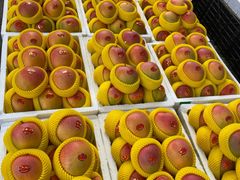 -堤口果品批发市场