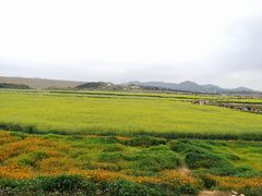 -光明小镇欢乐田园