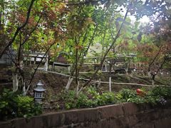 -正宗火盆自助烧烤·烤全羊·柴火鸡(龙泉山店)