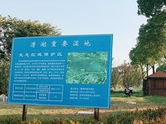 -漕湖湿地公园