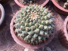 -南通洲际绿博园