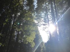 -山王坪喀斯特国家生态公园
