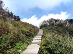 -白草畔自然风景区