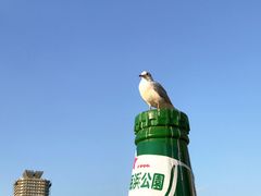 -台场海滨公园船码头