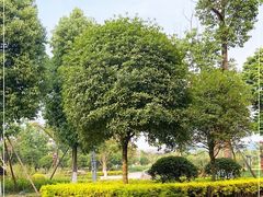 -眉山湿地公园(东坡区)