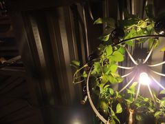 -胡桃里乐队酒馆(鎏嘉码头店)