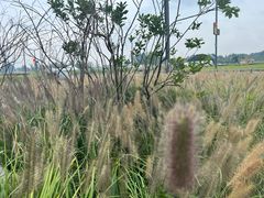 -中国天府农业博览园