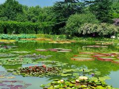 -国家植物园南园