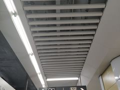 -奥体中心(地铁站)