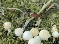 -桤木河湿地公园