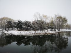 -大兴滨河森林公园