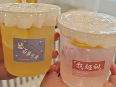 -有喵·猫咖·狗咖·30几只猫10只小狗(岗厦店)
