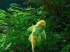 -上海海洋水族馆