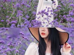 -紫颐香薰山谷景区