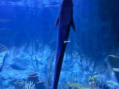 -秦皇岛新澳海底世界