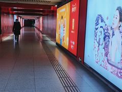 -大望路(地铁站)