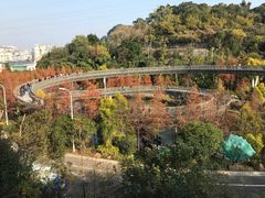 -梅峰山地公园
