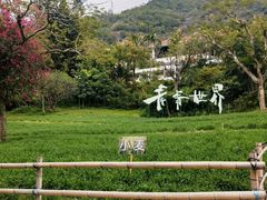 -青青世界