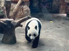 -石家庄市动物园