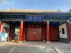 -张掖大佛寺景区