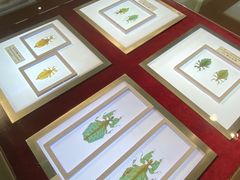 -上海昆虫博物馆