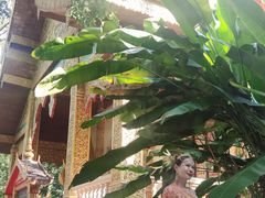 -西双版纳勐泐文化旅游区