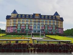 -百万葵园