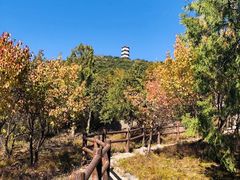 -北京十三陵国家森林公园蟒山景区