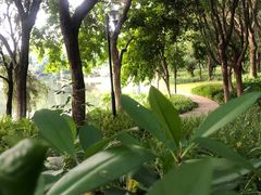 -东莞植物园