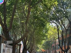 -西安电影制片厂