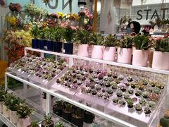 -KKV(深圳宏发大仟里店)