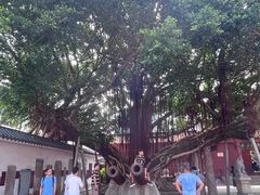 -闽粤南澳总镇府