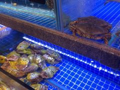 -鸽子侯·家宴·平价海鲜(绿地店)