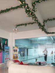 -水灵子舞蹈全国连锁