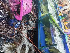 -班赞海鲜市场