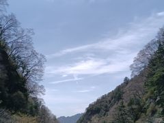 -朱雀国家森林公园