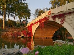 -大兴滨河森林公园