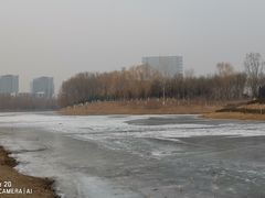 -大兴滨河森林公园