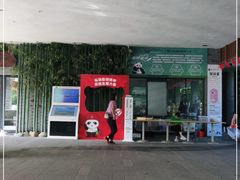-都江堰中华大熊猫苑