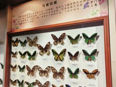 -吉林省自然博物馆