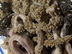爆羊杂瓣-老爆肚满五香烧牛羊肉