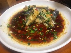 -全乐鱼馆·淳牌有机鱼直营店