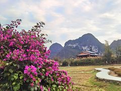-靖西鹅泉风景区
