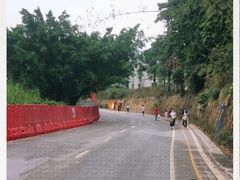 -光明小镇欢乐田园