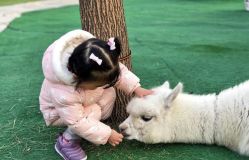 -萌宠亲子动物乐园(槐房万达店)