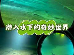 -白鹤梁水下博物馆